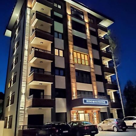 Vila Pino Silvestre Zlatibor Buitenkant foto