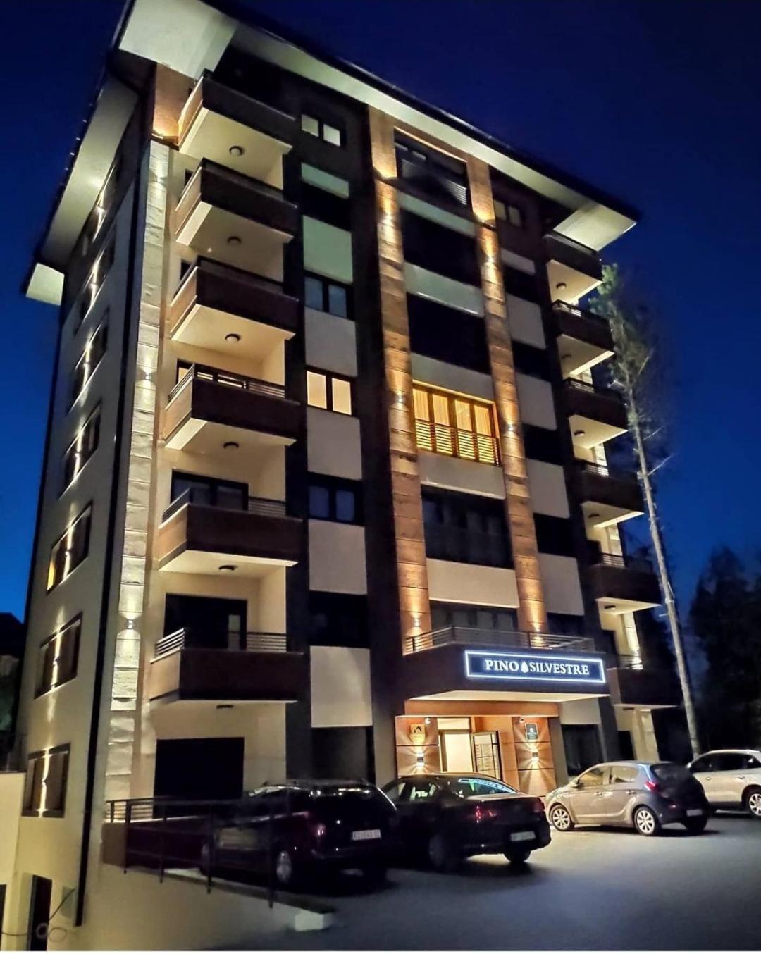 Vila Pino Silvestre Zlatibor Buitenkant foto