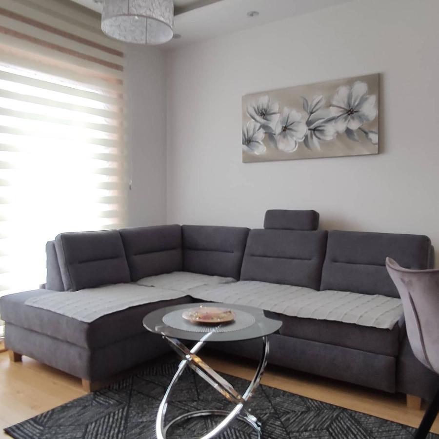 Vila Pino Silvestre Zlatibor Kamer foto